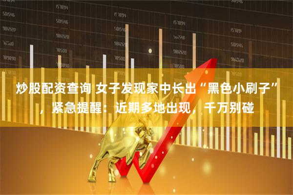炒股配资查询 女子发现家中长出“黑色小刷子”，紧急提醒：近期多地出现，千万别碰